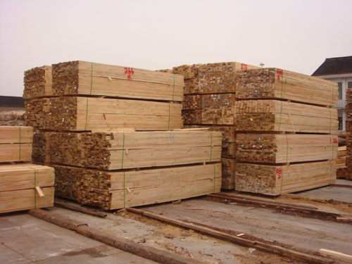 辐射松建筑木材